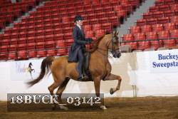 18BUCK_03142 proof