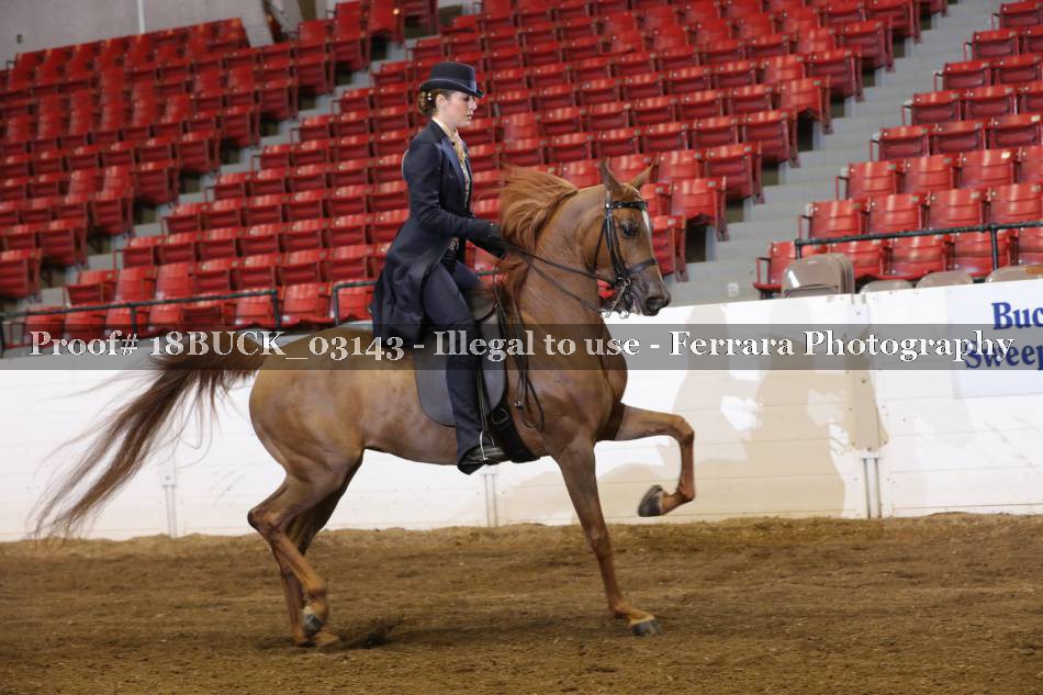 Proof 18BUCK_03143
