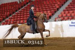18BUCK_03143 proof