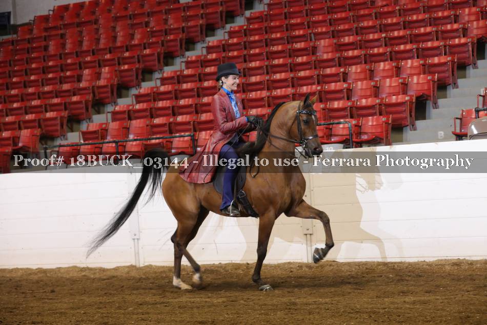 Proof 18BUCK_03144