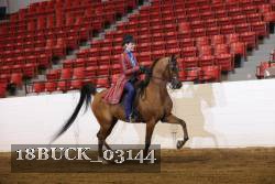 18BUCK_03144 proof
