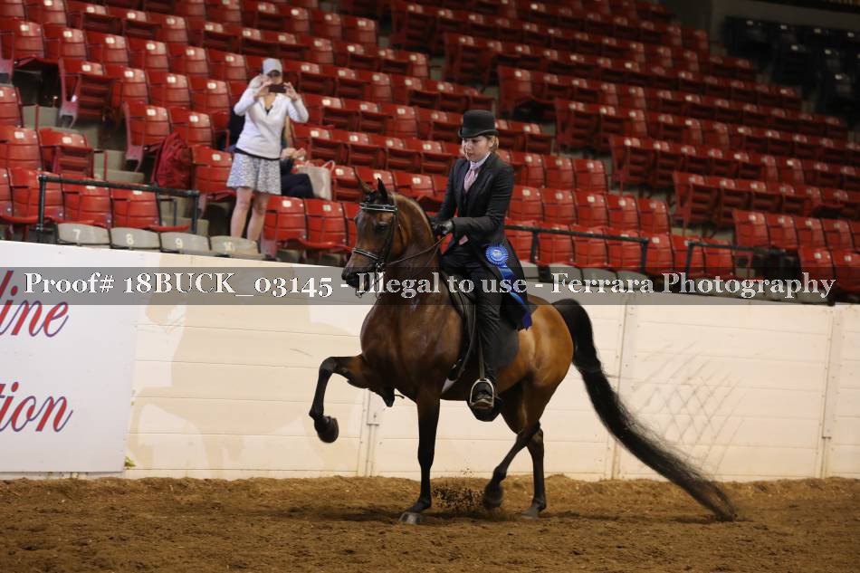 Proof 18BUCK_03145