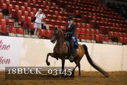 18BUCK_03145 proof
