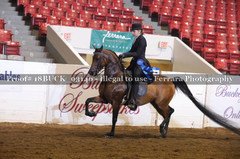 Proof 18BUCK_03146