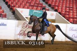 18BUCK_03146 proof