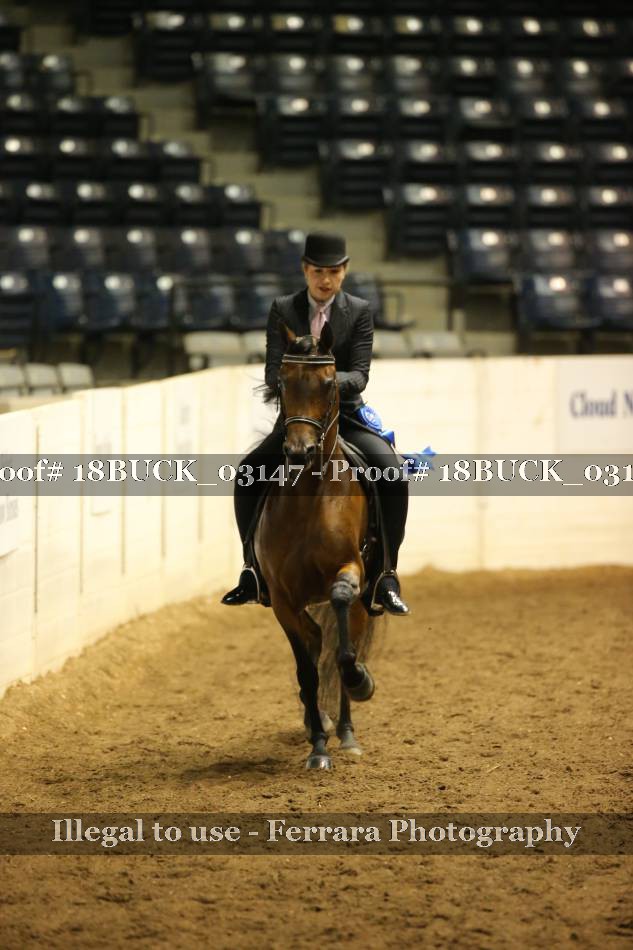 Proof 18BUCK_03147