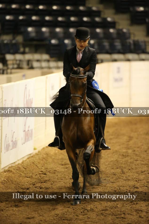 Proof 18BUCK_03148