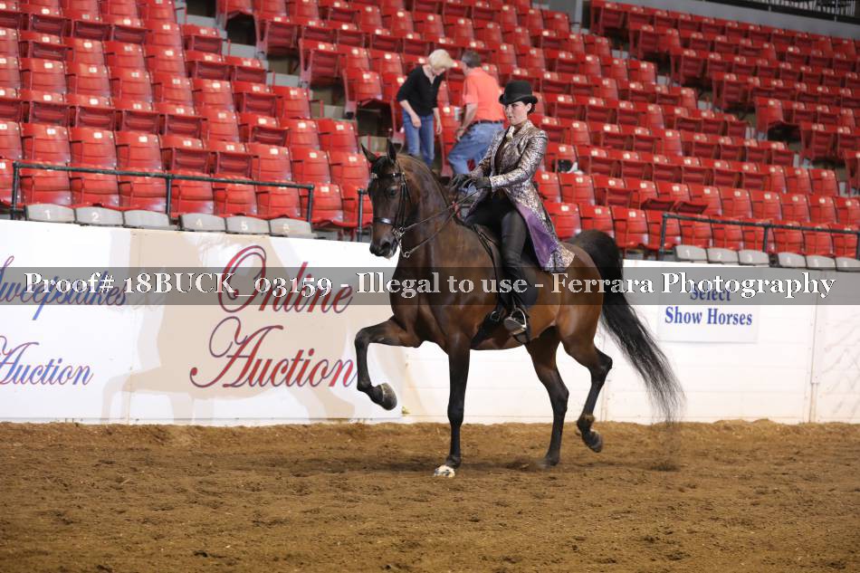 Proof 18BUCK_03159