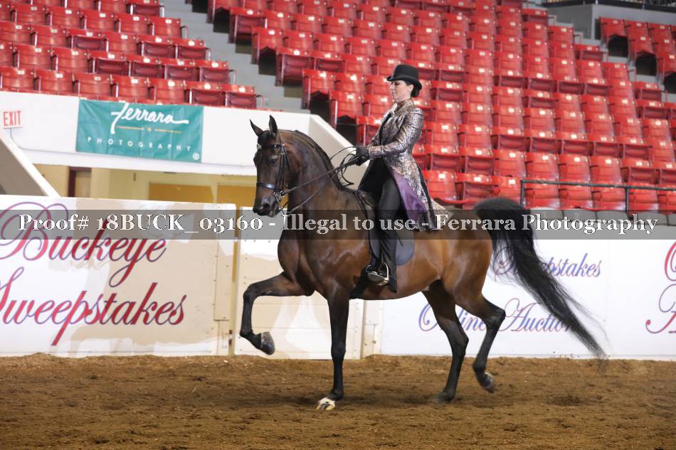 Proof 18BUCK_03160