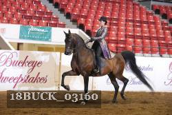18BUCK_03160 proof