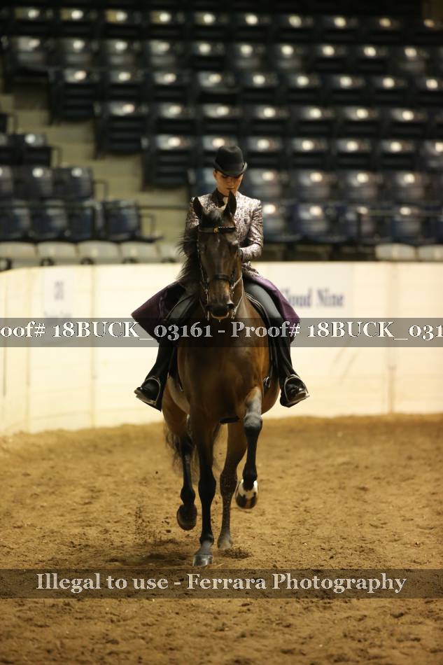 Proof 18BUCK_03161