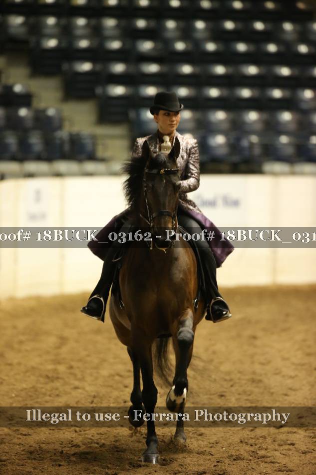 Proof 18BUCK_03162