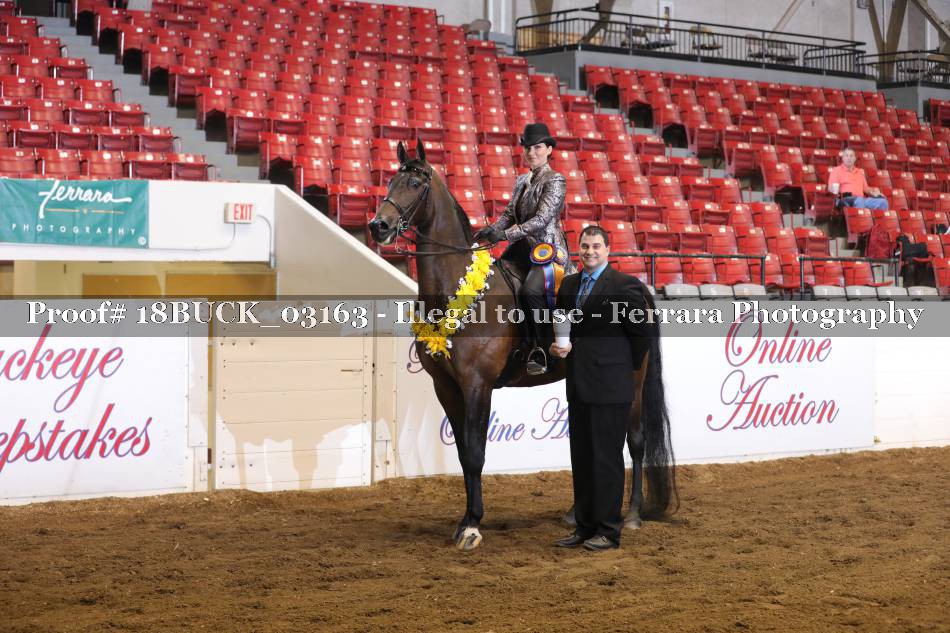Proof 18BUCK_03163