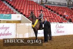 18BUCK_03163 proof