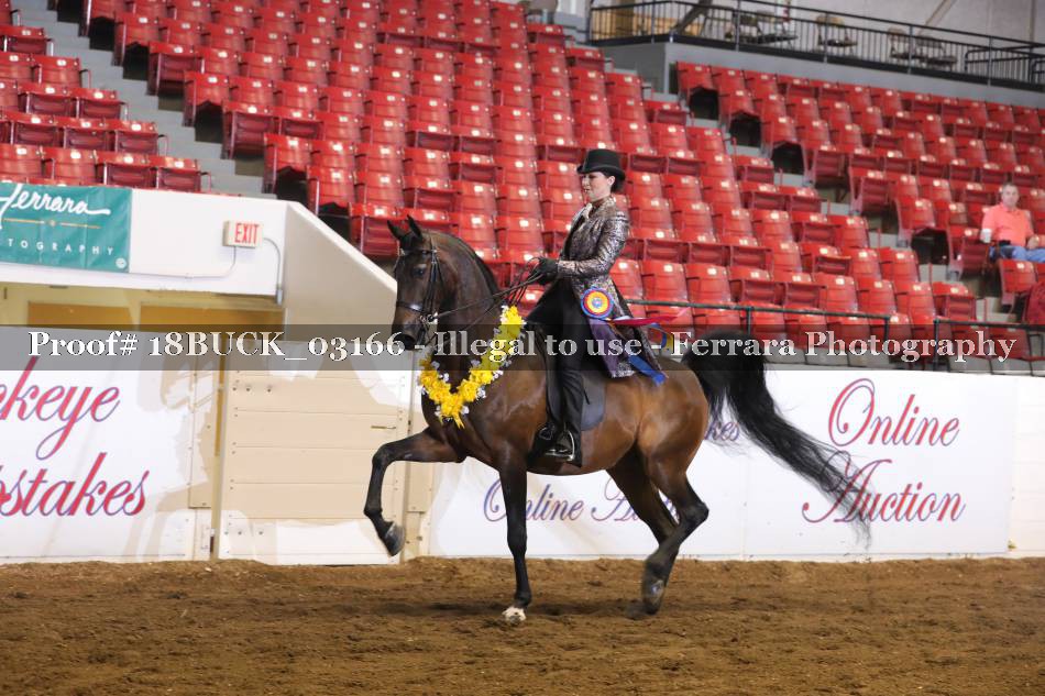 Proof 18BUCK_03166