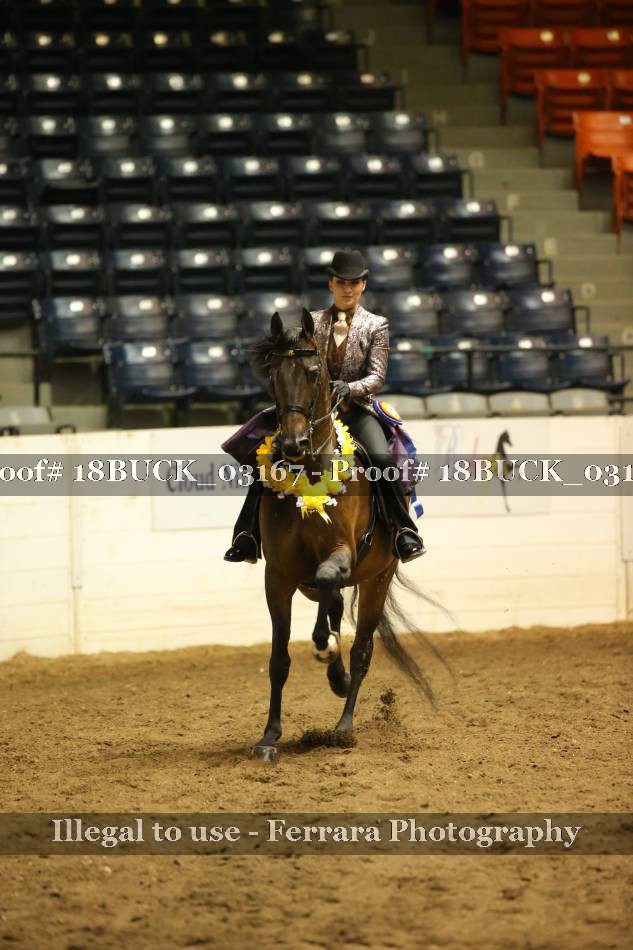 Proof 18BUCK_03167