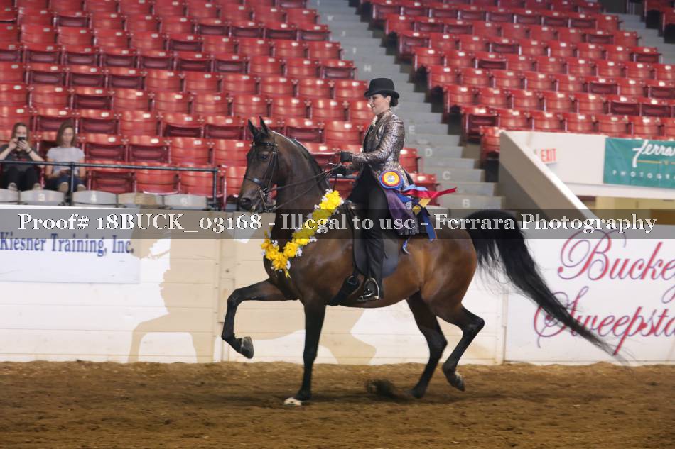 Proof 18BUCK_03168