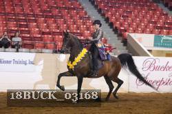18BUCK_03168 proof