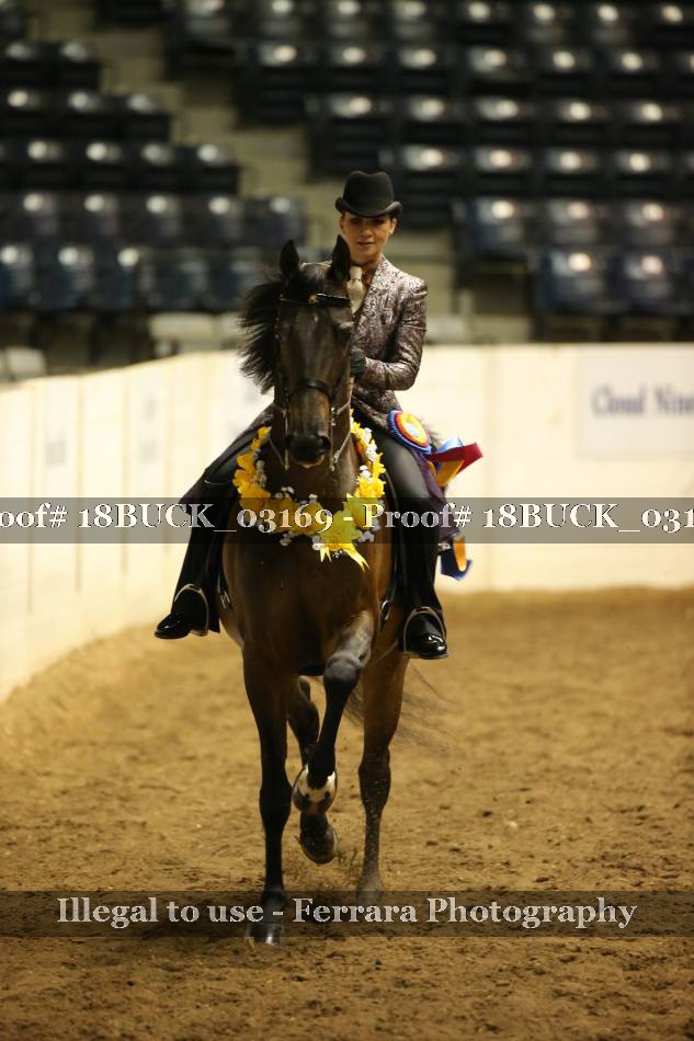 Proof 18BUCK_03169