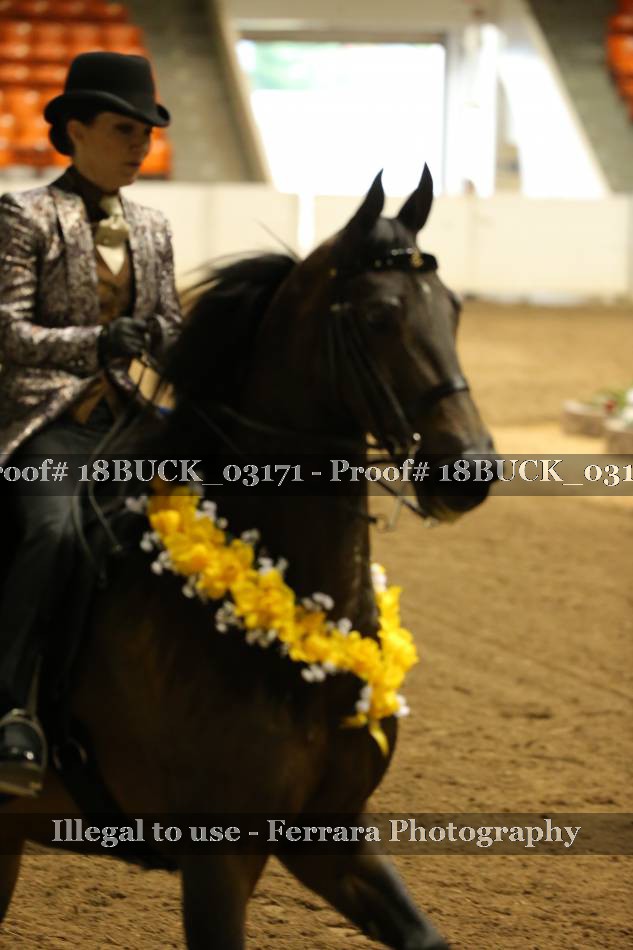 Proof 18BUCK_03171