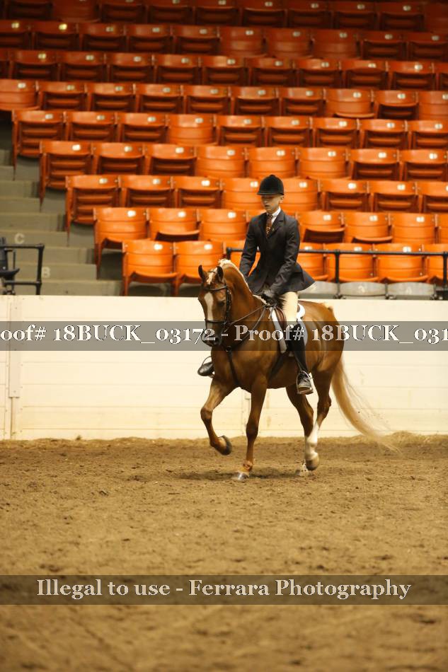 Proof 18BUCK_03172