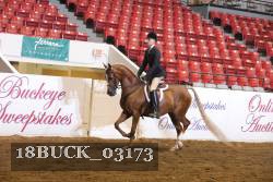18BUCK_03173 proof