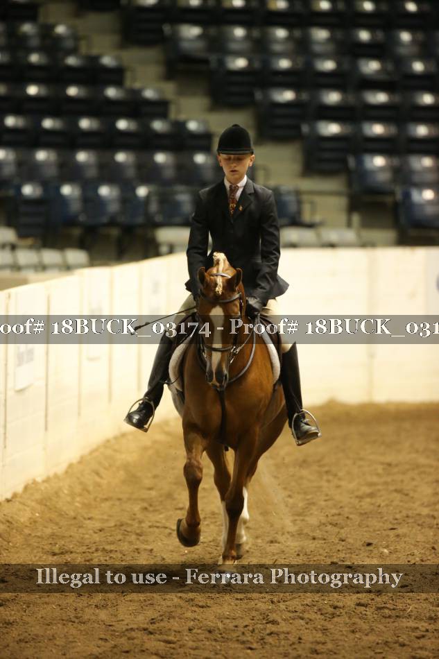 Proof 18BUCK_03174