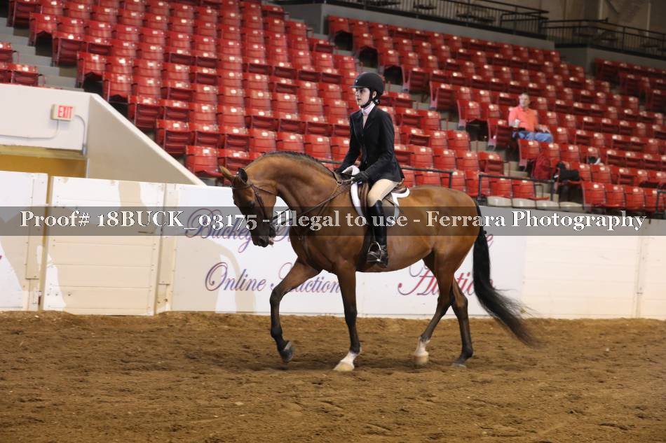 Proof 18BUCK_03175