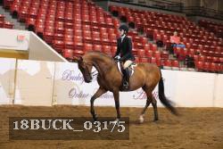 18BUCK_03175 proof