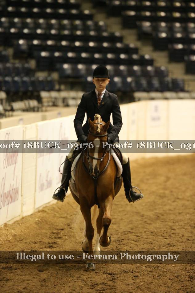 Proof 18BUCK_03176