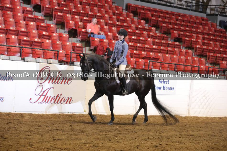 Proof 18BUCK_03180