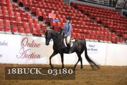 18BUCK_03180 proof