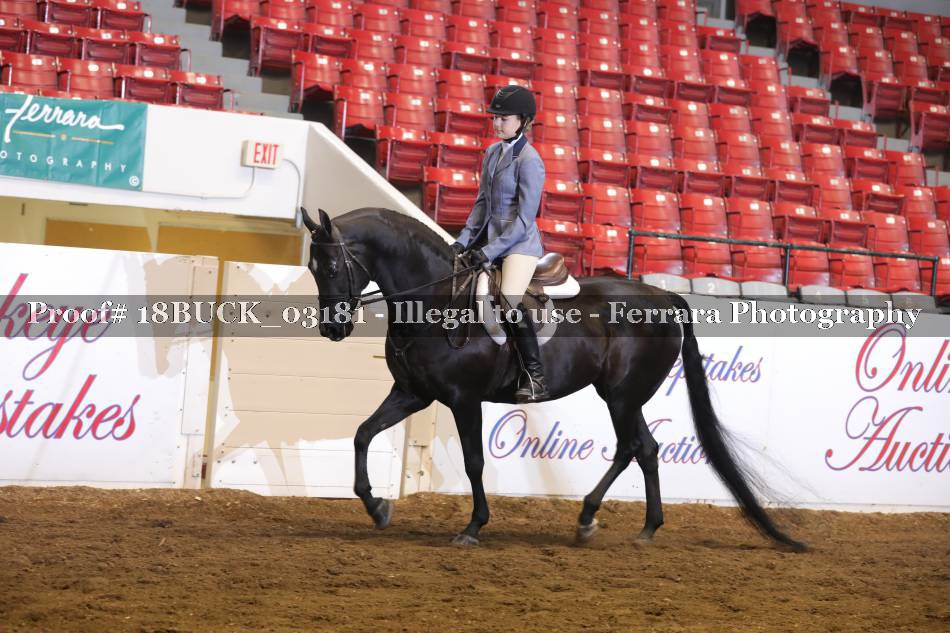 Proof 18BUCK_03181