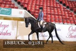 18BUCK_03181 proof