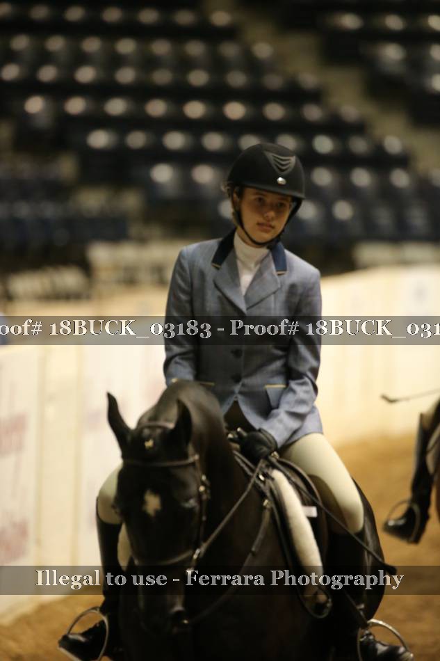 Proof 18BUCK_03183