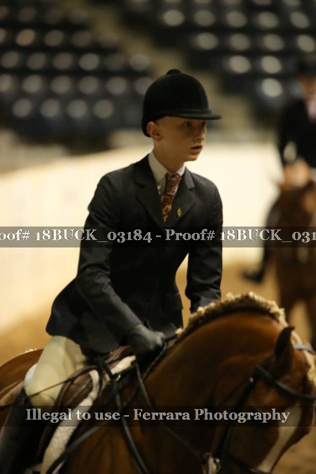 Proof 18BUCK_03184