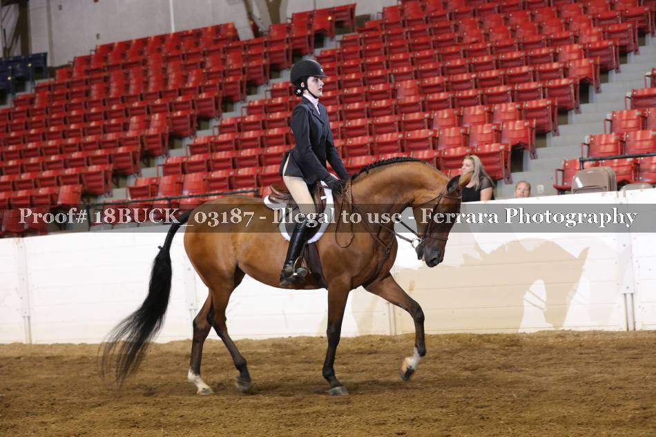 Proof 18BUCK_03187