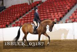 18BUCK_03187 proof