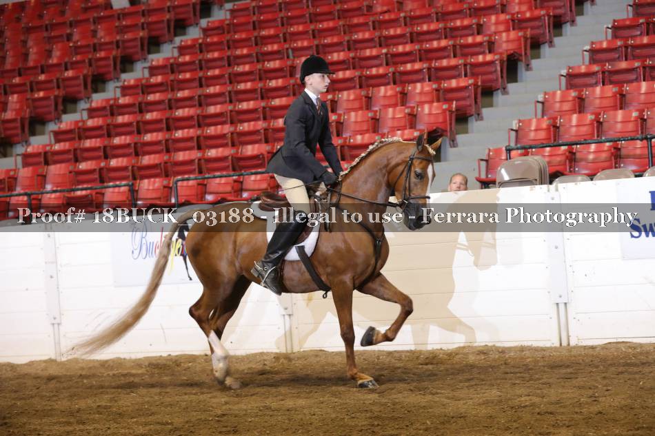 Proof 18BUCK_03188
