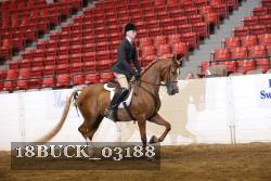 18BUCK_03188 proof
