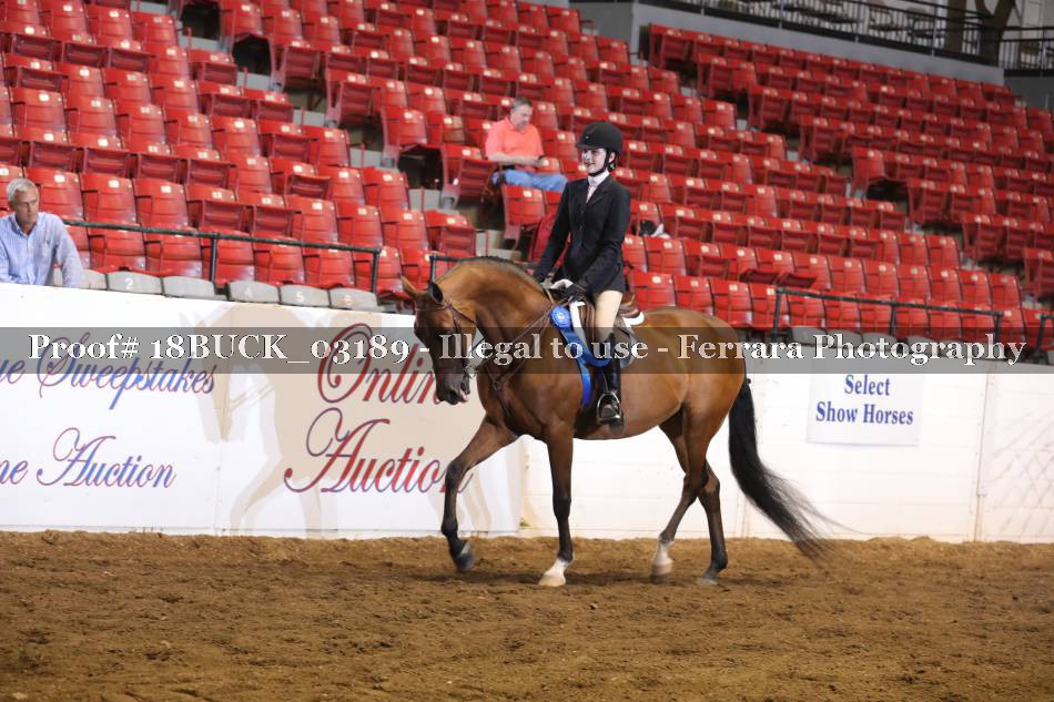 Proof 18BUCK_03189