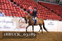 18BUCK_03189 proof