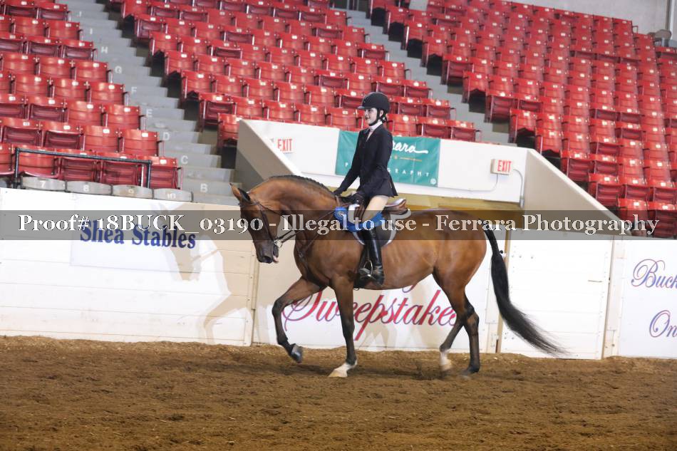 Proof 18BUCK_03190