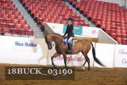 18BUCK_03190 proof