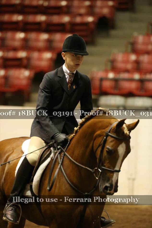 Proof 18BUCK_03191
