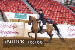 18BUCK_03199 proof