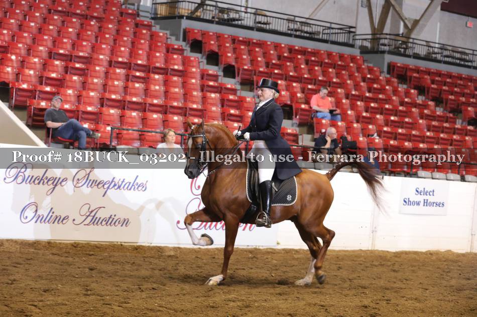Proof 18BUCK_03202