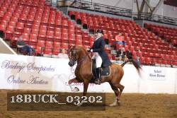 18BUCK_03202 proof