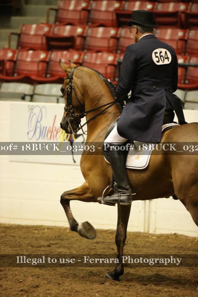 Proof 18BUCK_03203
