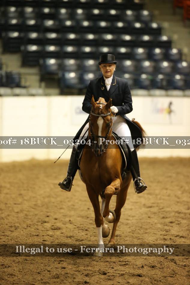 Proof 18BUCK_03204